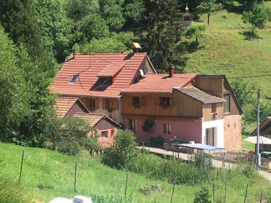 Gite De La Grande Verrerie 6 Personnes Ribeauville Exterior photo